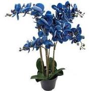 Phalaenopsis Orchidee in pot x5 60 cm Blue kunstplant