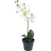 Phalaenopsis bora in pot white 35 cm kunstplant