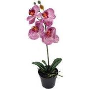 Phalaenopsis Orchidee in pot x1 50 cm Tiger Cerise kunstplant