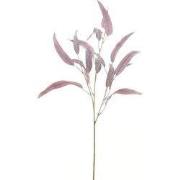 Seed eucalyptus spray rood 74 cm kunsttak