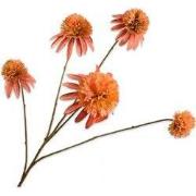 Rudbeckia zalm 90 cm kunstbloem