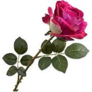 Roos steel beauty 78 cm kunstbloem