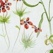 Sierkussen 50x30 cm Milly Natural (4 stuks)