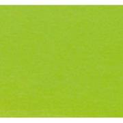 Zitkussen 46x48 Panama lime (4 stuks)