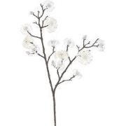 Magnolia tak cream