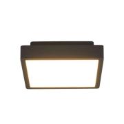 Lucande - Talea LED Buiten Plafondlamp Graphite