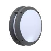 Lindby - Liren LED Smart Buiten Wandlamp Grijs