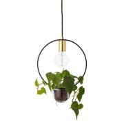 Bloomingville - Caralina Plant 2 Hanglamp Gold