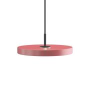 UMAGE - Asteria Mini Hanglamp Rose/Black Top