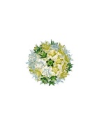 Kartell - Bloom Cw2 Wandlamp/Plafondlamp Mint