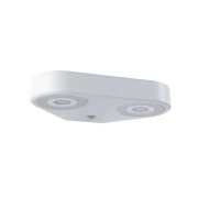 Paulmann - Silma 2 Buiten Wandlamp met Sensor SWR Wit