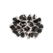 Slamp - Cliza Wandlamp Mama Non Mama Black