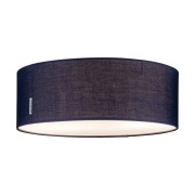 Paulmann - Mari Plafondlamp Blue
