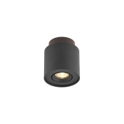 Arcchio - Walisa Plafondlamp Black/Clear
