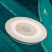 New Garden Play Disk - buiten zwembadverlichting en speaker - met magn...